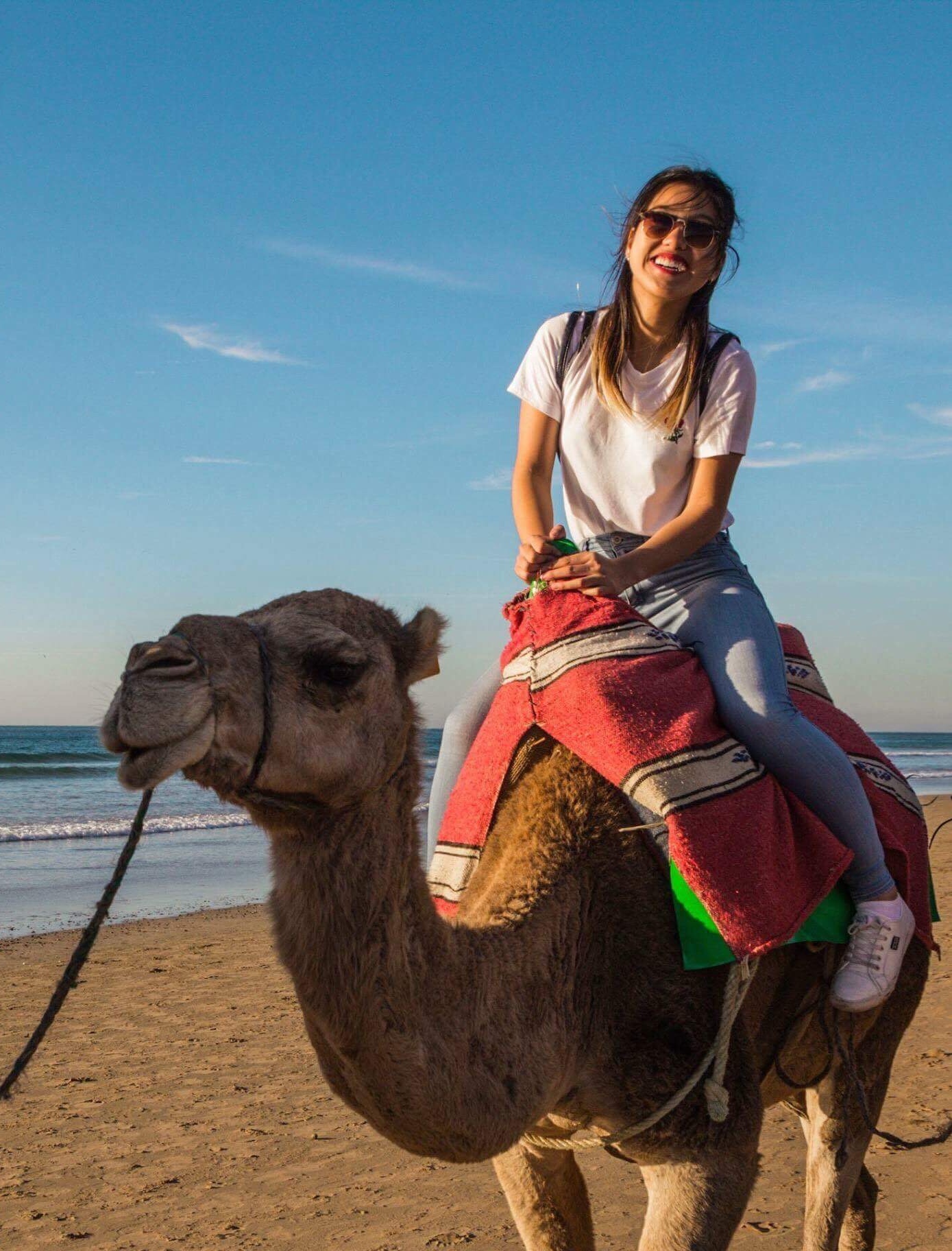 Camel riding in Morocco, photo by Sylvia Sarabia (courtesy of Study Abroad UC San Diego)
